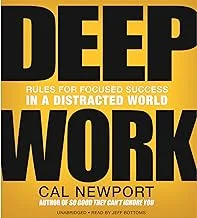 Deep Work, Kaizen, and the Learning Organization: A Research White Paper on Effective Learning, Research, and Innovation