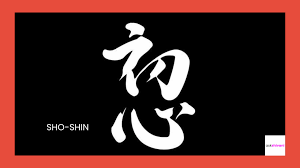 Innovation, Growth, and Progress A Shoshin-Driven Engineering Framework for Sustainable Innovation